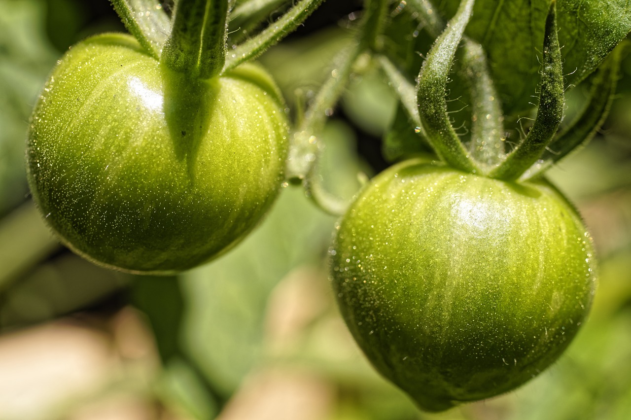 come conservare i pomodori secchi